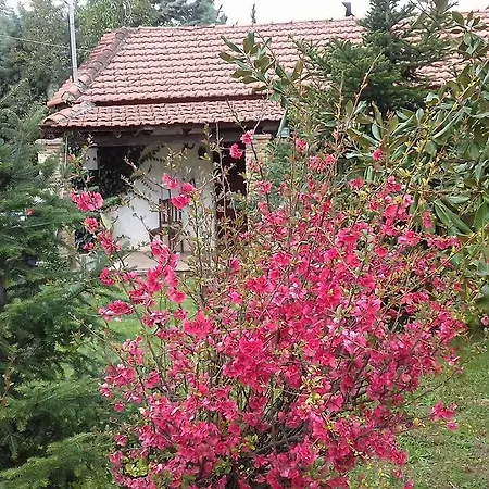 Farmhouse In The Mount Parnassos Country house *