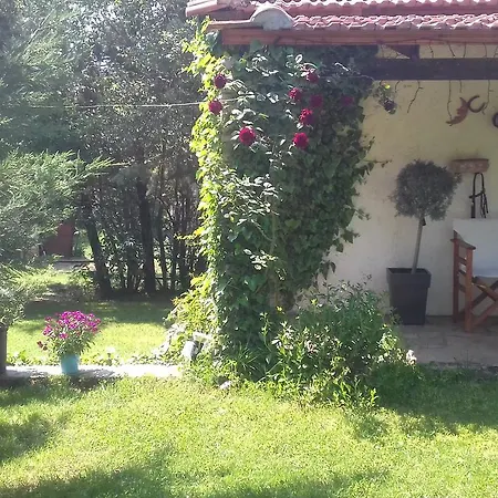 Farmhouse In The Mount Parnassos *
