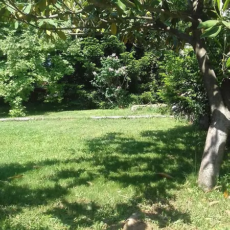 Farmhouse In The Mount Parnassos Country house Polydrossos