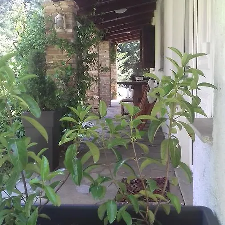 Farmhouse In The Mount Parnassos *