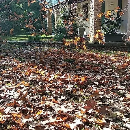 Εξοχικό σπίτι Farmhouse In The Mount Parnassos